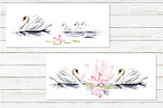 Watercolor swans, an Animal Illustration by Budogoshch (Thumbnail 3 of 8)
