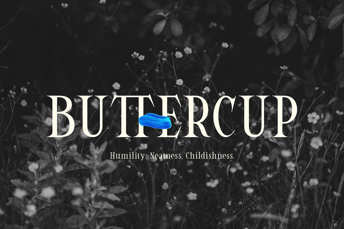 ED Candytuft, a Serif Font by Emyself Design (Photo 9 of 12)