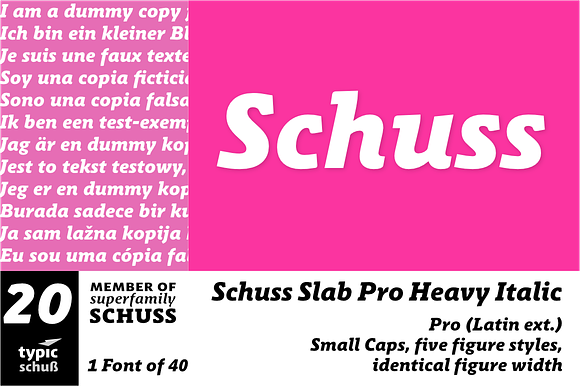 SchussSlabProHeavyIta No.20 (1 Font) preview 6