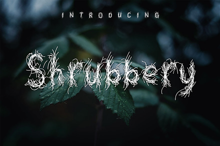 Shrubbery | Sketch Font