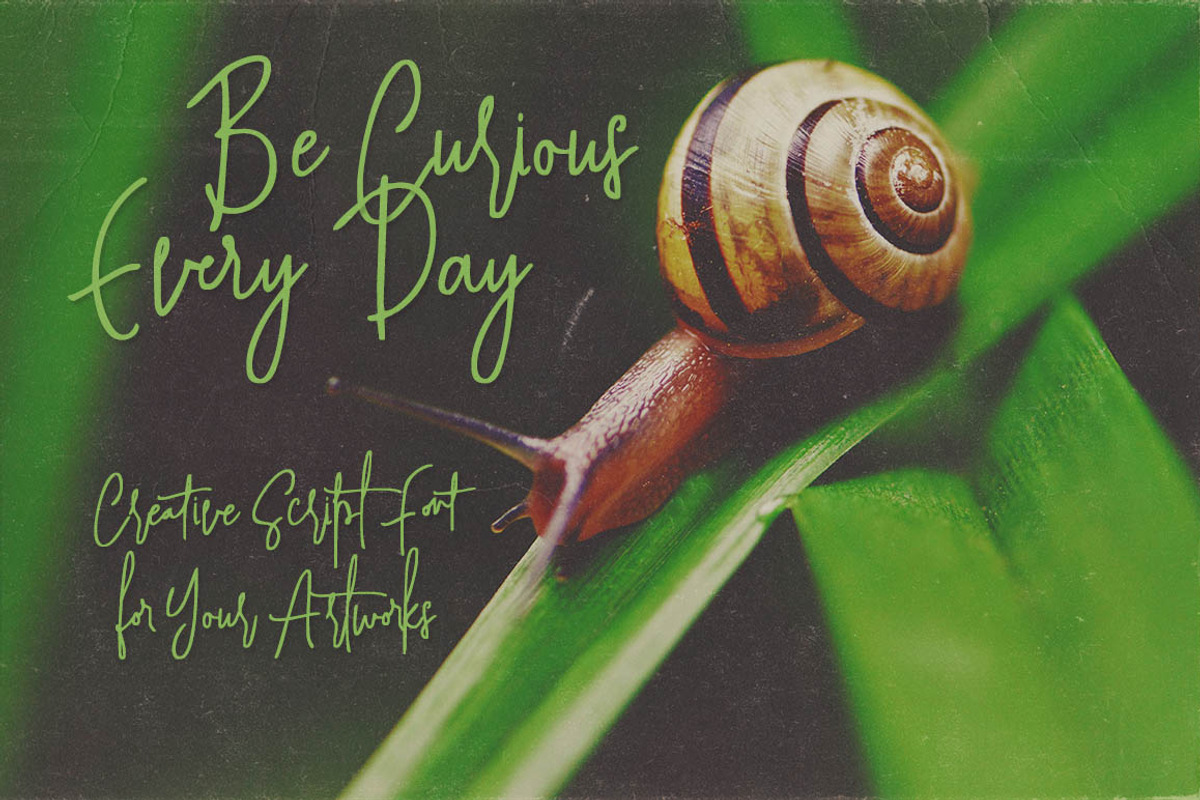 Heartwell Script Font preview 3