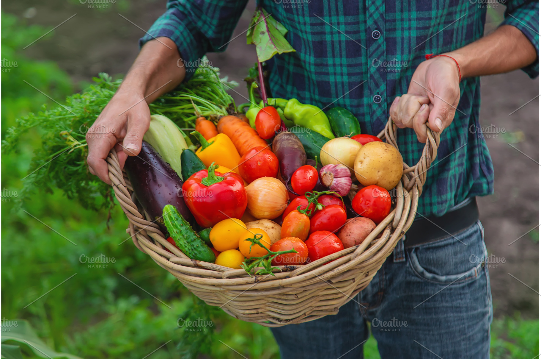 A man with a harvest of vegetables, a Food & Drink Photo by yanadjana