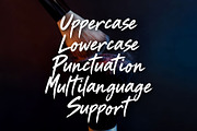 Wildest Metallo Brush, a Handwritten Font by Letterafa Studio (Thumbnail 8 of 10)