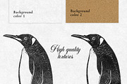 Colonial style Animals posters, an Animal Illustration by Garden in frame (Thumbnail 5 of 11)