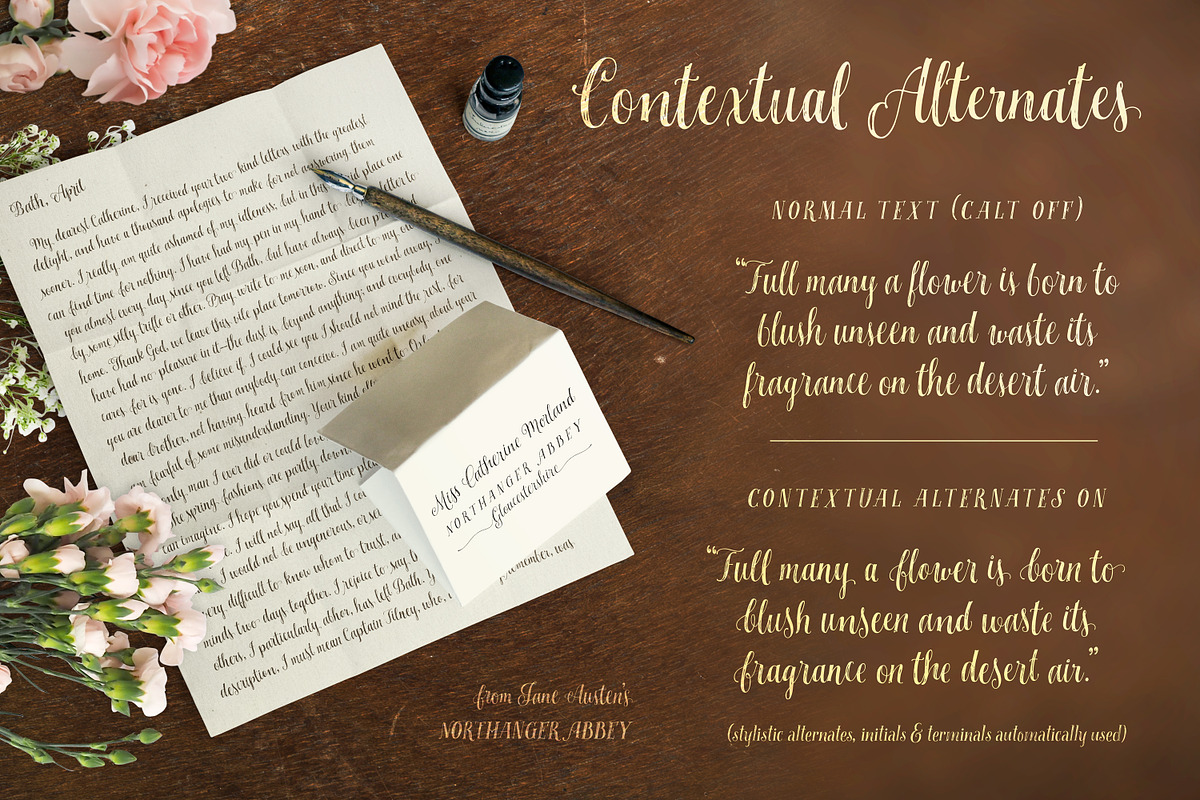 Miss Elizabeth Script preview 5