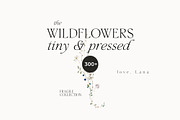 WILDFLOWERS tiny watercolor floral, a Decorative Illustration by Lana Elanor (Thumbnail 15 of 15)