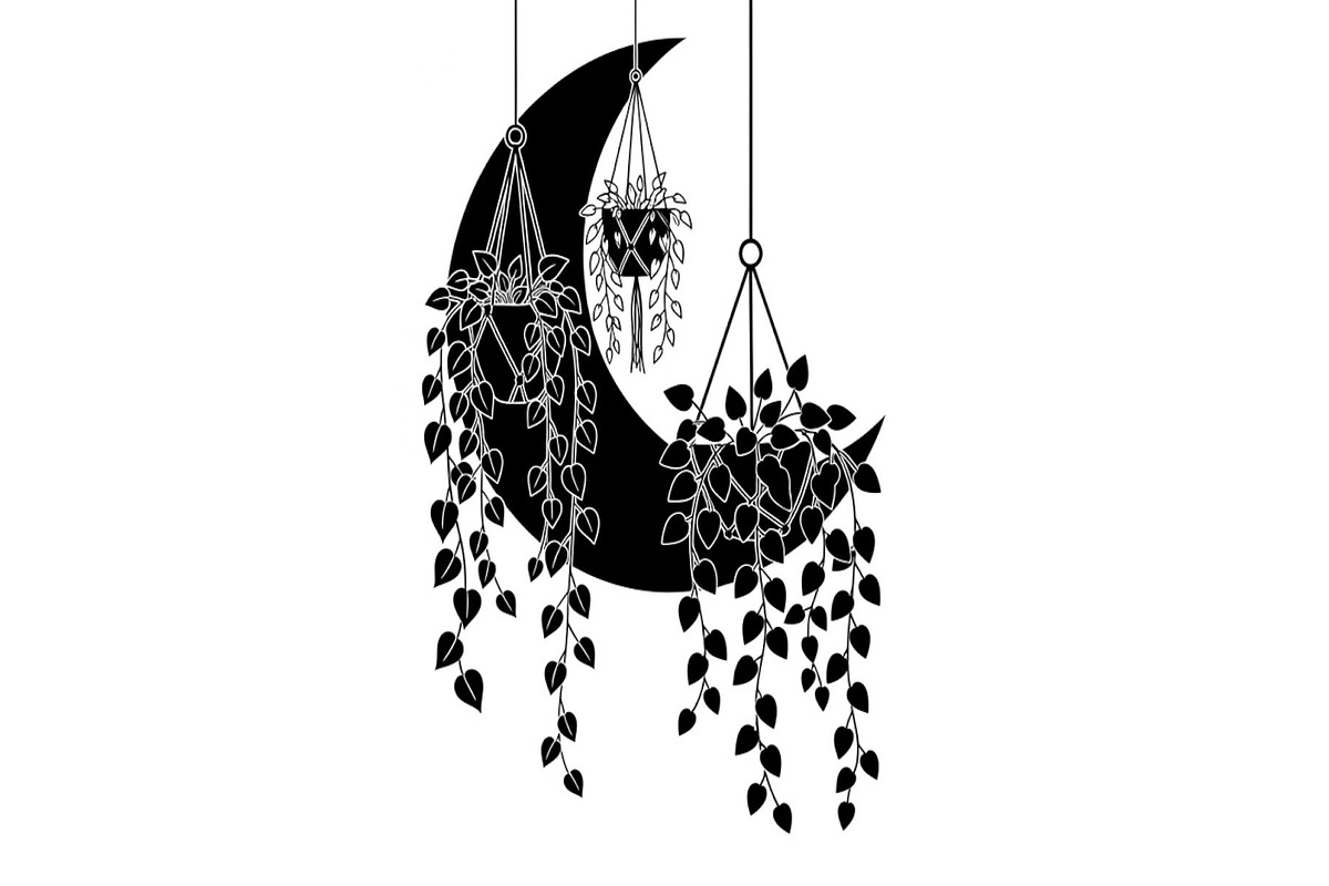 Hanging Moon with Plants Bundle, an Illustration by Designs_River (Photo 9 of 31)