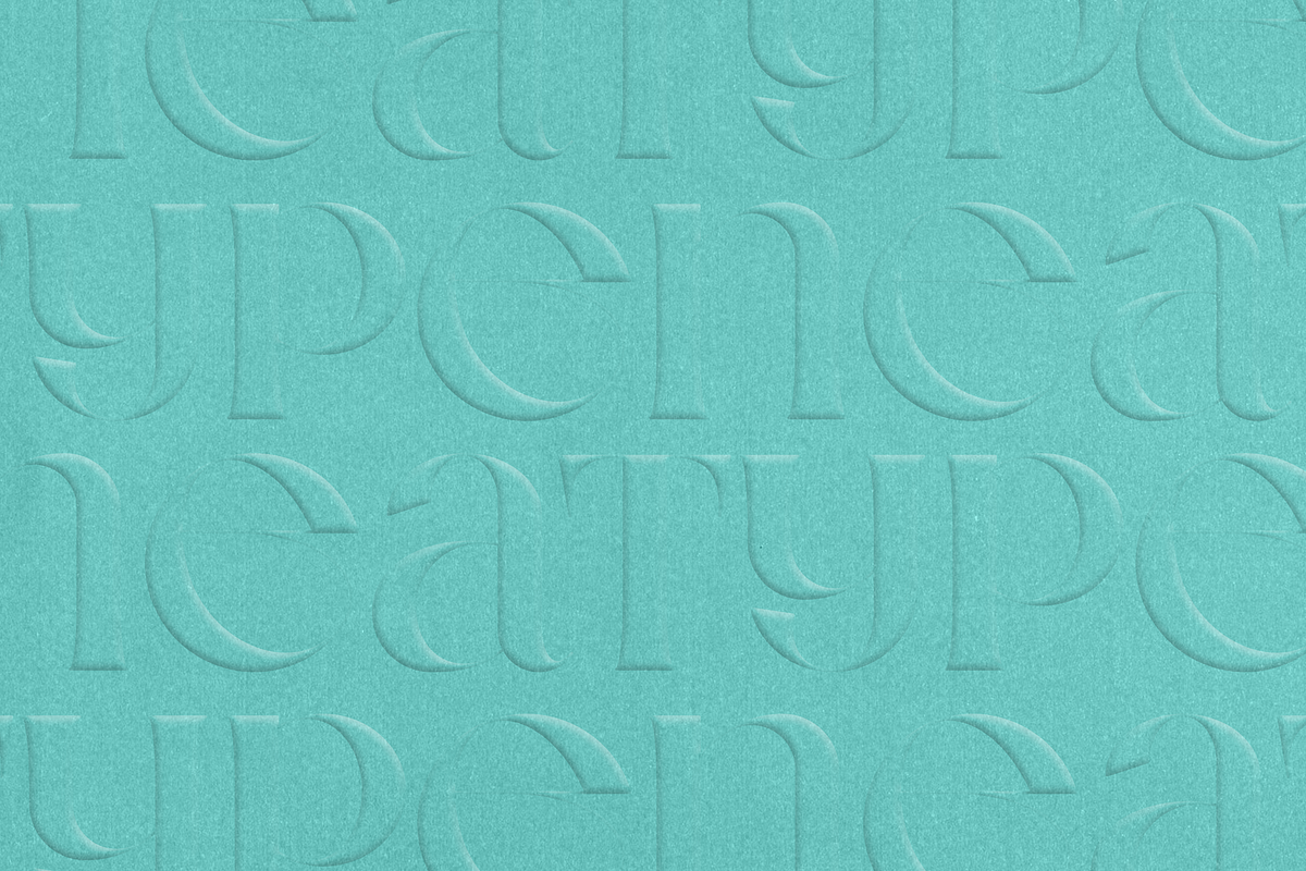 Neat Type - elegant fusion font, a Serif Font by VP Fonts (Photo 4 of 13)