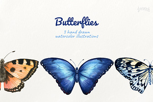 Butterflies 3 Illustrations Set