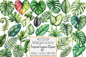 Tropical Leaves Clipart, a Seasonal Illustration by Design Market
