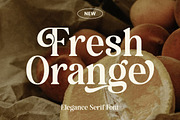 Bugalo Font Retro Serif, a Serif Font by HansCo Studio (Thumbnail 3 of 10)
