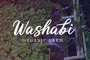 Butterly brush pen font, a Script Font by great19 (Thumbnail 8 of 10)