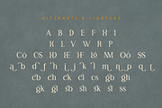 Moodisst Modern Serif, a Serif Font by Moodtype (Thumbnail 7 of 7)