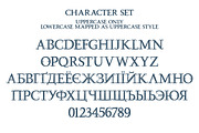 Royal Vintage Label Font, a Serif Font by Guten Tag Vector (Thumbnail 3 of 5)