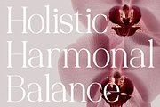 Palgrace Modern Serif Typeface Font, a Serif Font by Vadovastd (Thumbnail 4 of 11)