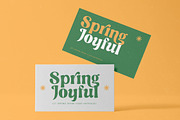 Nothing Magic Retro Groovy Serif, a Serif Font by timelesstype.co (Thumbnail 4 of 20)