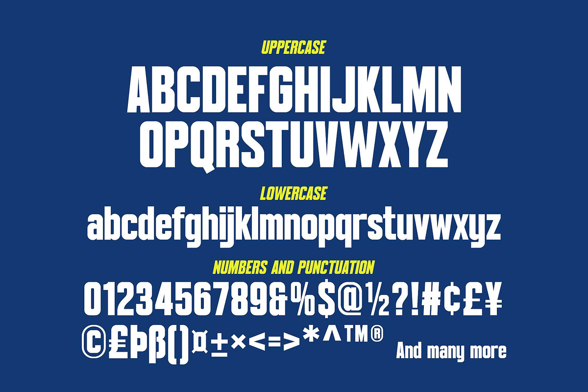 Burghen - Modern Condensed, a Sans Serif Font by Novitype (Photo 11 of 14)