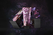 Velvet Peony Moody Floral Graphics, an Object Illustration by Eclectic Anthology (Thumbnail 7 of 16)