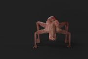 Mother of Monsters, a Characters & Person 3D Model by NojskaAksjon (Thumbnail 13 of 31)