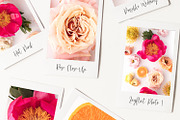Bloomsberry Type & Graphics, a Handwritten Font by Callie Rian & Co. (Thumbnail 13 of 14)