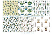 Watercolor Houseplant Collection, an Illustration by Sweet Fig (Thumbnail 2 of 8)