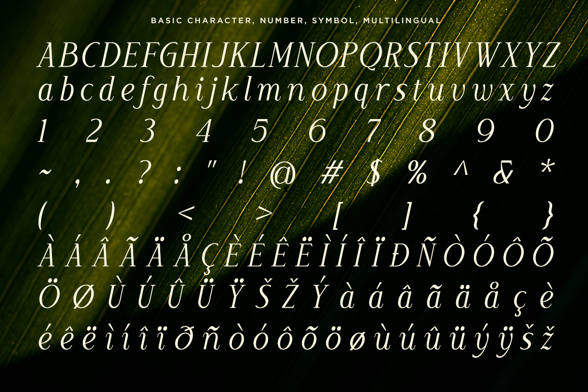 Luxury Wedding Serif Font - Moelania, a Serif Font by Say Studio (Photo 9 of 10)