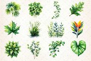 Green Summer Foliage Clipart, an Illustration by Dream Creation (Thumbnail 2 of 4)
