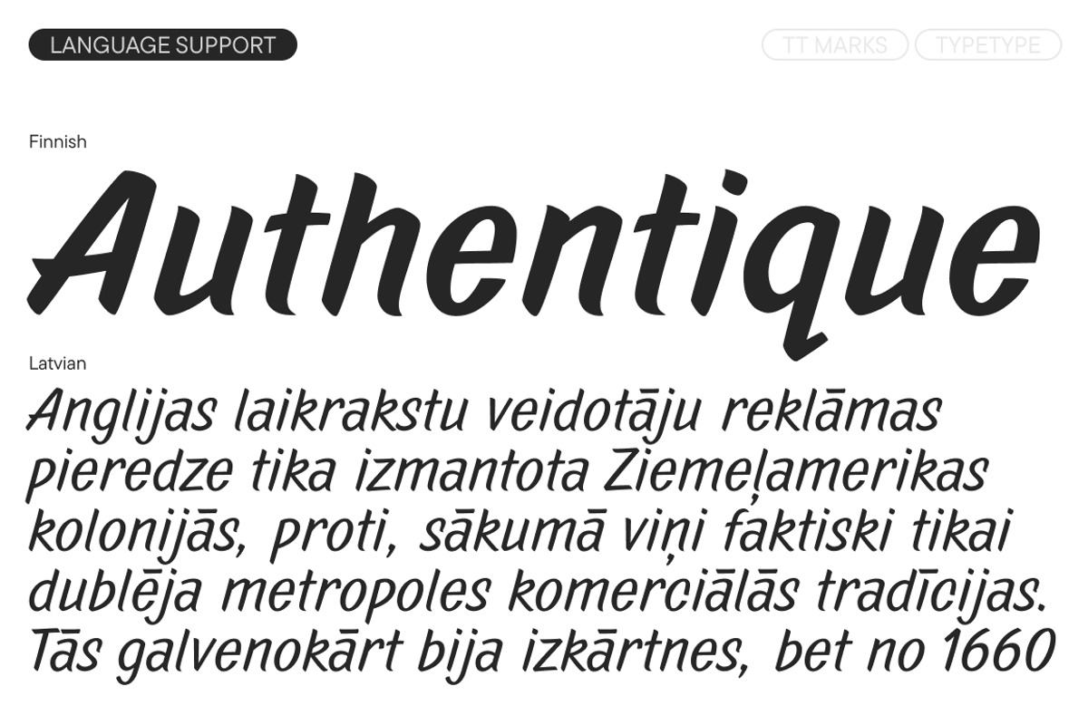 TT Marks, a Script Font by TypeType (Photo 10 of 12)