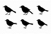 Nightingale Silhouette Clipart Set, an Animal Illustration by Gfx Expert Team (Thumbnail 3 of 3)