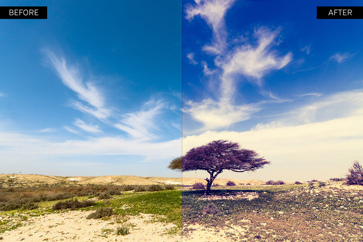 Intensity Lightroom Presets, an Action Add-On by Shutter Pulse (Photo 3 of 5)