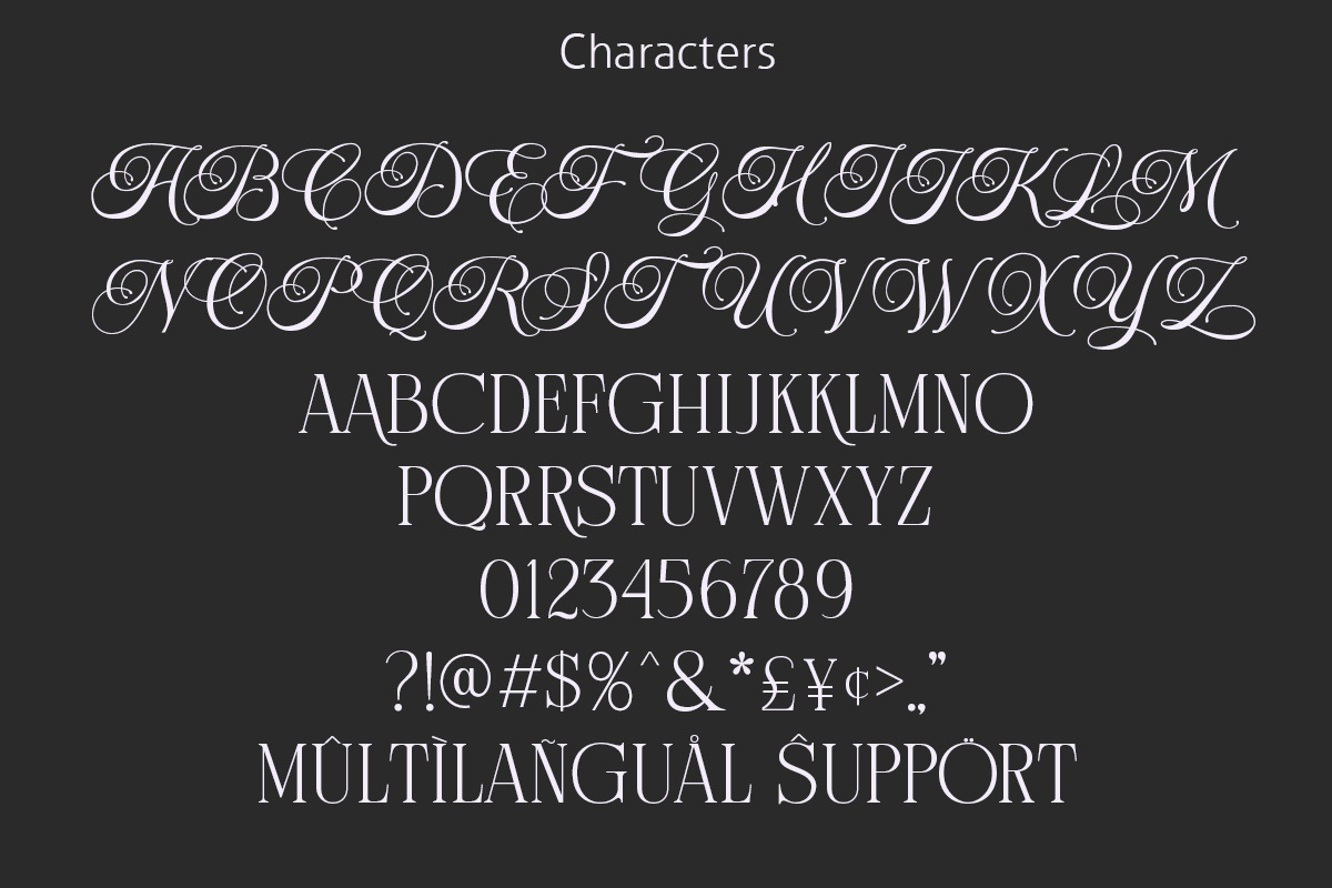 Golsuka Kadila - Hand Crafted Hybrid, a Serif Font by Letterhend Studio (Photo 7 of 9)