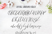 Cottage Gardens Script Font Duo, a Script Font by Creativeqube Design (Thumbnail 4 of 20)