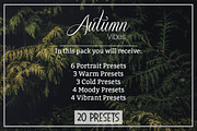 Autumn Vibes - Lightroom Presets, a Plug-in Add-On by ELITE ARTISTS (Thumbnail 2 of 14)