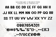 Pantern Christmas, a Script Font by FreshTypeINK (Thumbnail 5 of 8)
