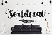 Whole Store Bundle | 95 OFF, a Serif Font by Swistblnk Std. (Thumbnail 46 of 60)