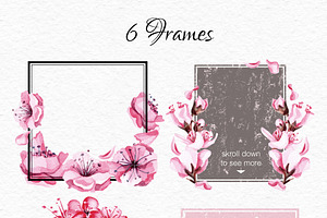 Watercolor Sakura Blossom Collection