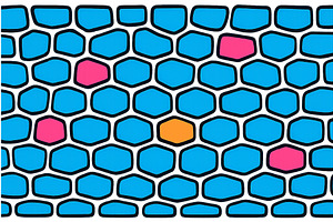 Colorful vector illustration of, an Illustration by ZinetroN