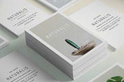 NATURALIS Business Card Template, a Business Card Template by 46&2 Collective (Thumbnail 2 of 9)