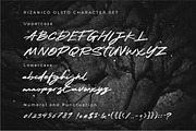Rizanico - Handwriting Brush Script, a Script Font by Olexstudio (Thumbnail 7 of 8)
