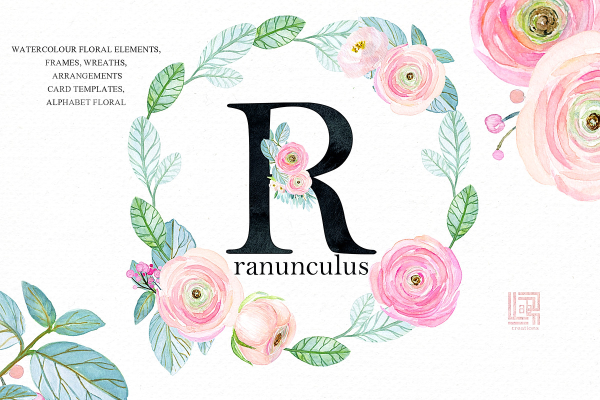 -50% Off Buttercups. Ranunculus pink, an Illustration by LABFcreations (Photo 4 of 12)