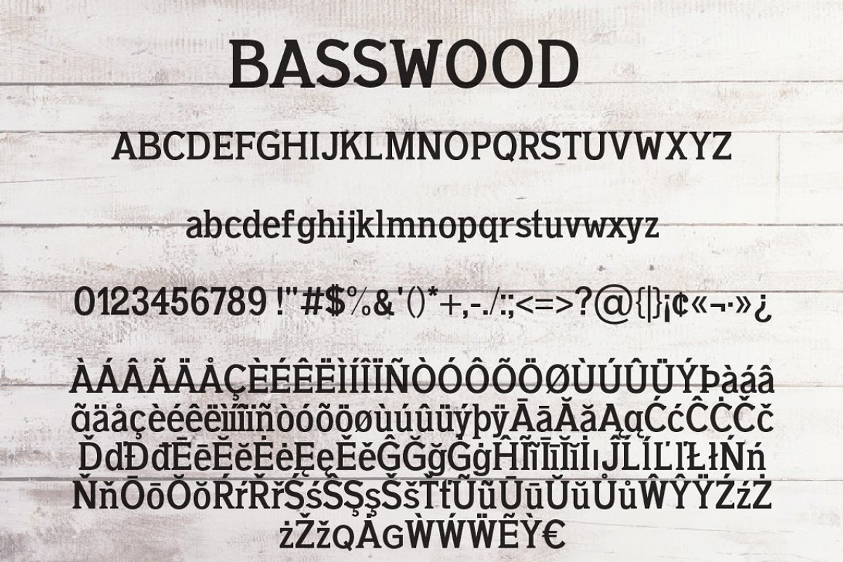 Basswood Serif Font preview 4