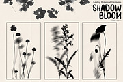 Shadow Bloom Analog Botanical PNG, an Object Graphic by DreamoraArt (Thumbnail 8 of 10)