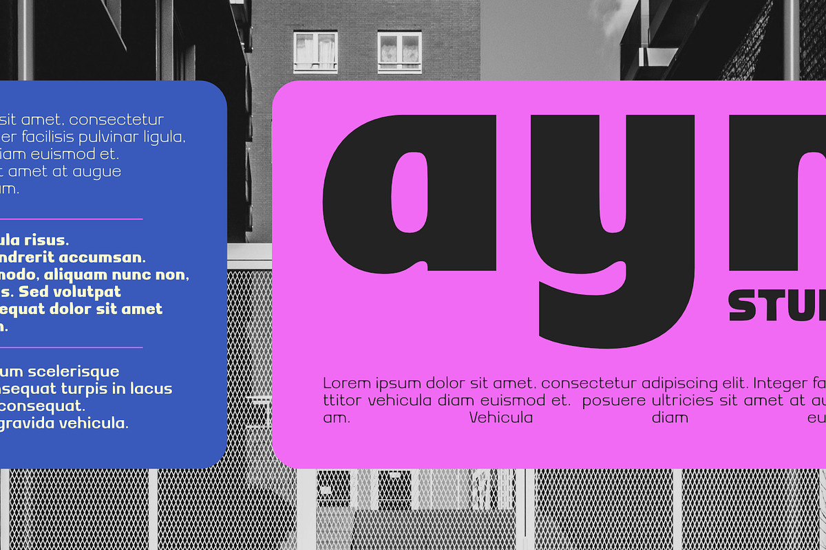 Mizun Typeface, a Sans Serif Font by Khoir (Photo 12 of 14)