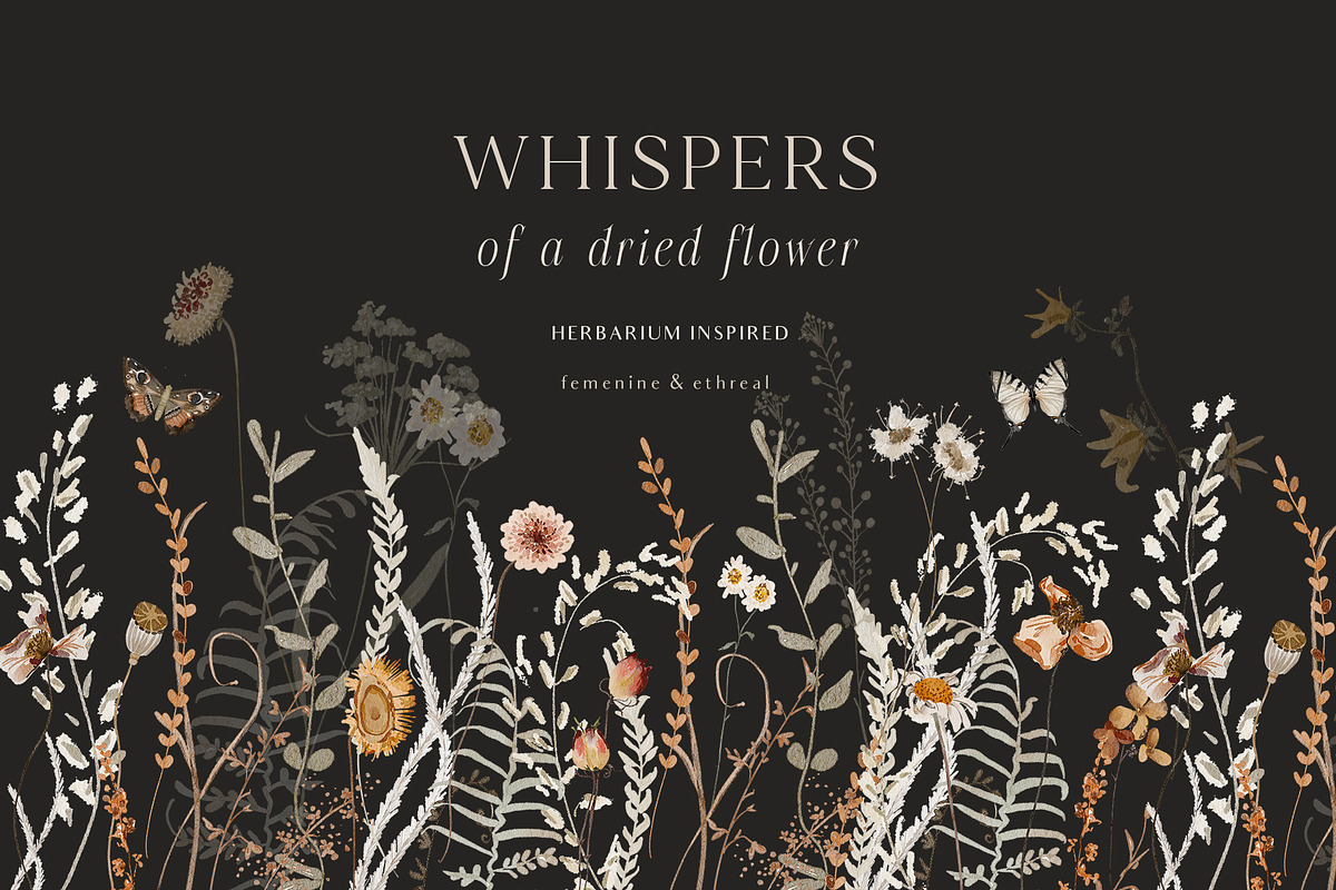 Wildflowers watercolor floral botany, a Decorative Illustration by Grace Noboa Illustrations (Photo 3 of 17)