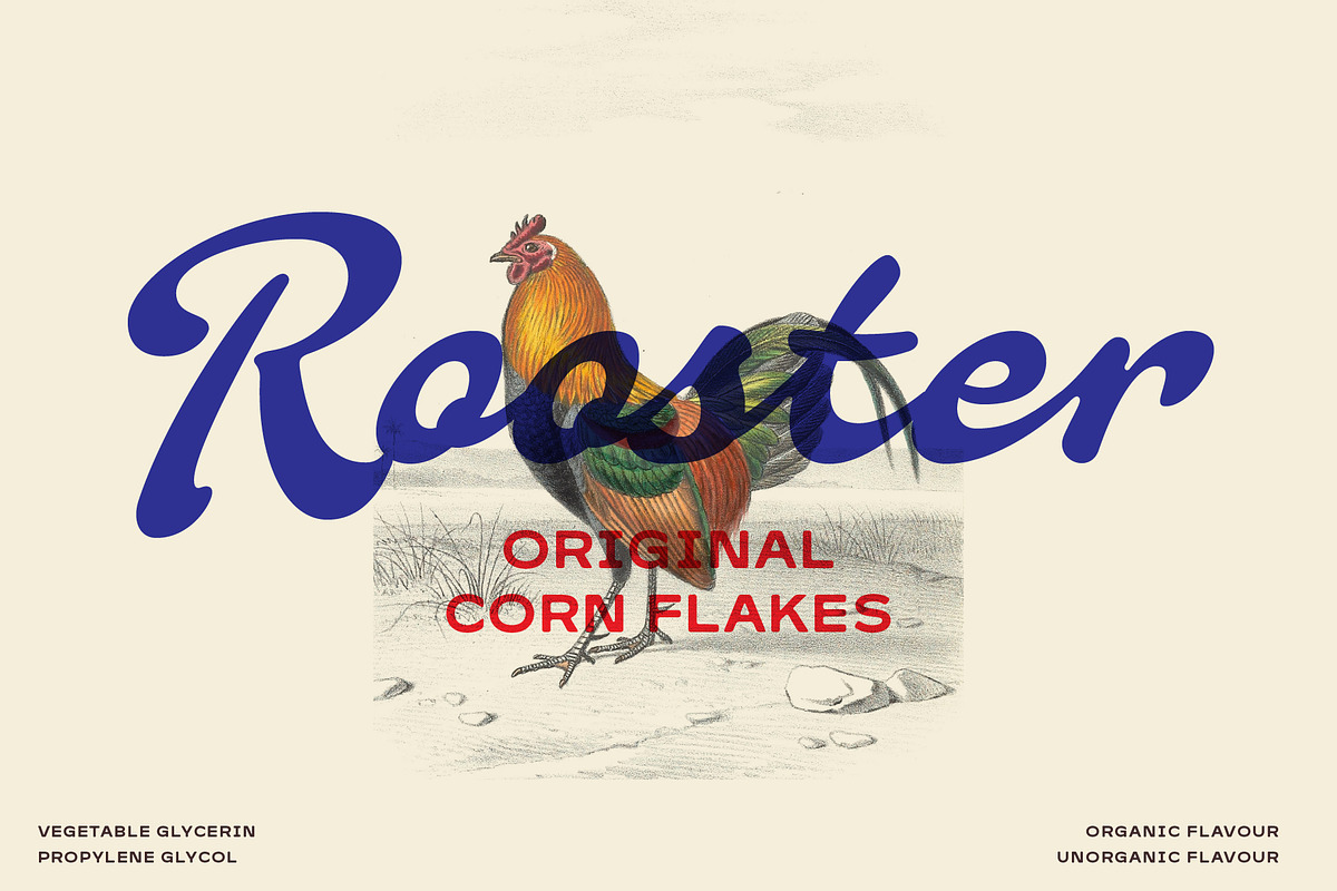 Quiscript Quisans, a Script Font by Adam Fathony (Photo 10 of 17)