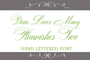 Sale-Dom Loves Mary Flourishes Two, a Script Font by Debi Sementelli (Thumbnail 1 of 3)