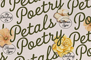 Winterish Script, a Script Font by Flavortype (Thumbnail 6 of 15)