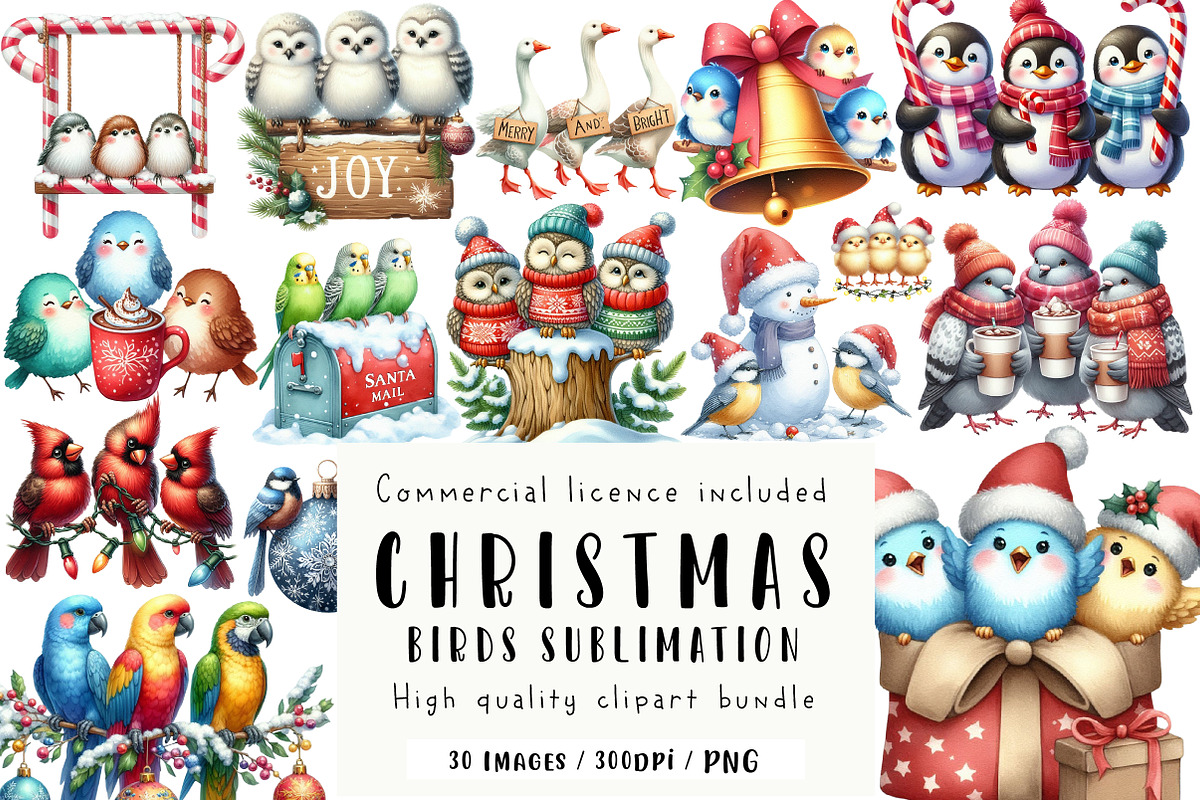 Christmas Birds Sublimation Clipart, an Illustration by CreationArt (Photo 1 of 5)