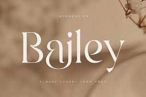 Bailey - Classy Luxury Logo Font