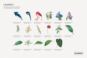 Birds Botanical Pattern And Graphics